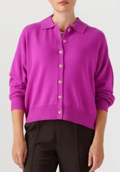 absolut cashmere majura