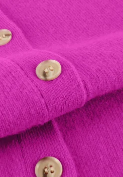 absolut cashmere majura