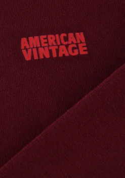 american vintage izubird s