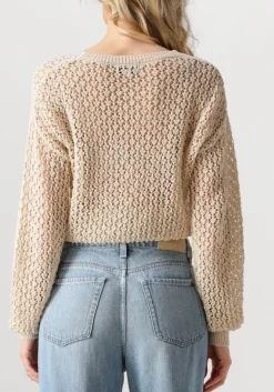 beige aaiko trui jaylee co 460
