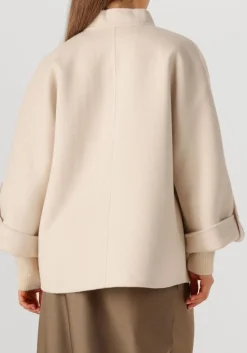 beige alter ego jack vajen