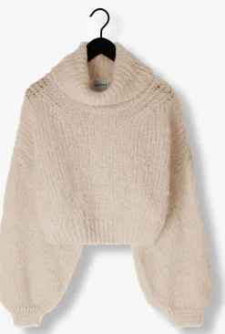 beige american dreams coltrui pepper roll neck cropped