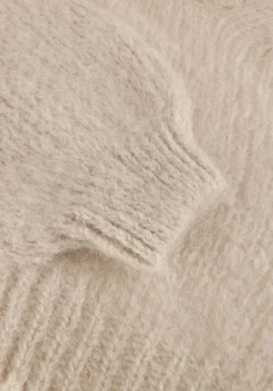 beige american dreams coltrui pepper roll neck cropped