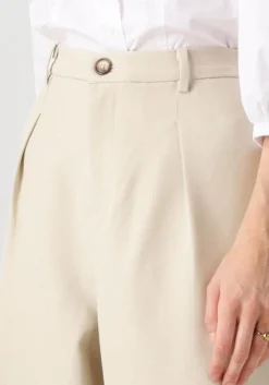 beige co'couture wijde broek nanacc pleat ll pant