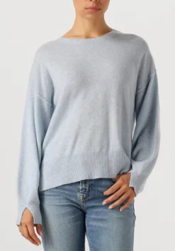 blauwe absolut cashmere truien/vesten caterina