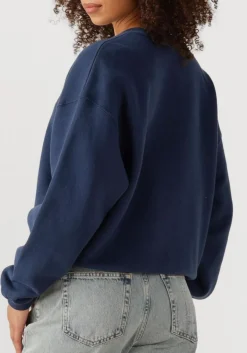 blauwe american vintage sweater izubird d