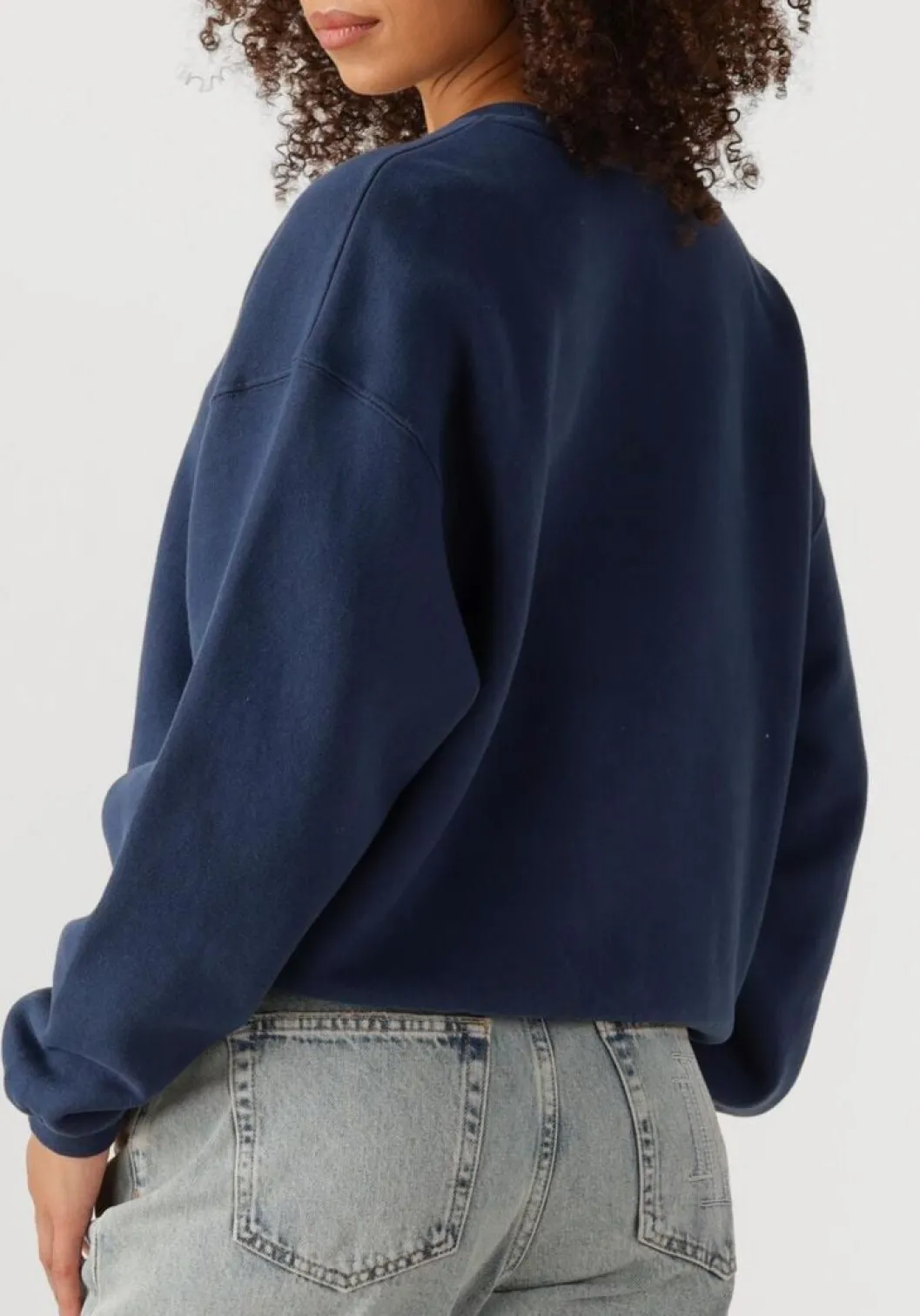 blauwe american vintage sweater izubird d