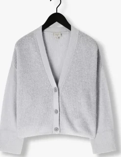 blauwe dante6 vest utah cropped cardigan