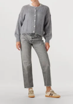 blauwe des petits hauts vest chouette