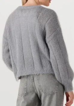 blauwe des petits hauts vest chouette