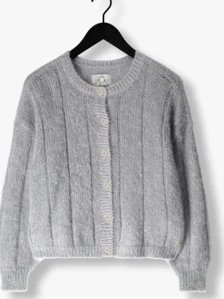 blauwe des petits hauts vest chouette