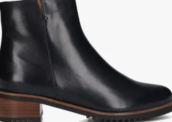 blauwe everybody enkellaarsjes belport