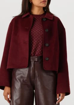 bordeaux studio ar teddy jas nicolina