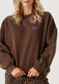 bruine american vintage trui plizzy