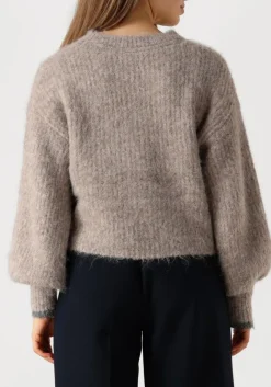 bruine co'couture truien/vesten coralee crop knit