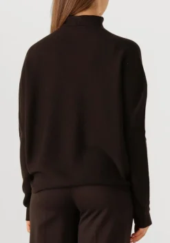 bruine drykorn coltrui liora