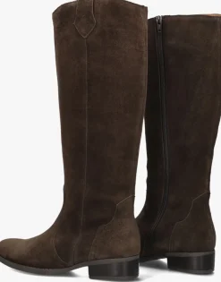 bruine gabor hoge laarzen 901