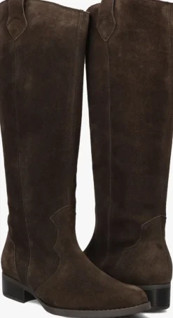 bruine gabor hoge laarzen 901