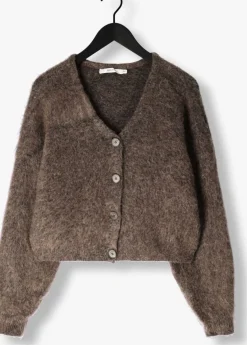 bruine gestuz vest gzdebbie cardigan