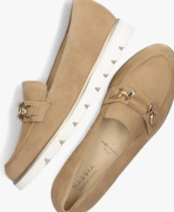 bruine hassia instappers 301552 pisa