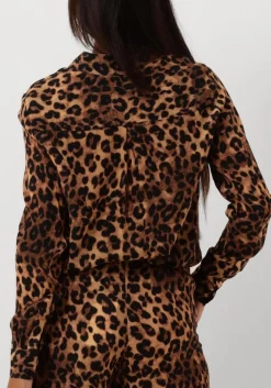 bruine janice blouses dylan