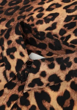 bruine janice blouses dylan