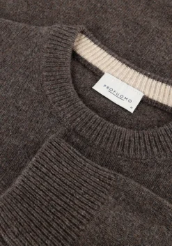 bruine profuomo trui pullover crew neck woolblend