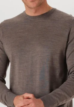 bruine profuomo trui pullover crewneck merino