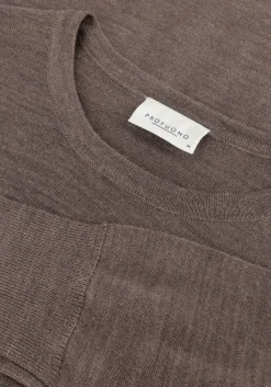 bruine profuomo trui pullover crewneck merino