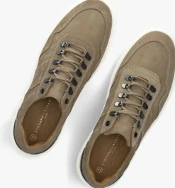 bruine stefano lauran lage sneakers star 003