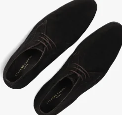 bruine stefano lauran veterschoenen 92301