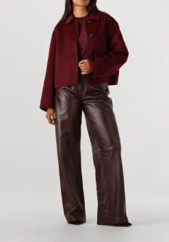 bruine studio ar broeken myra