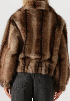 bruine studio ar jassen lucy