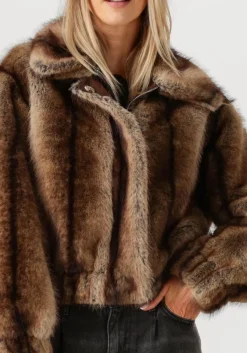 bruine studio ar jassen lucy