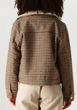 bruine suncoo jack eden