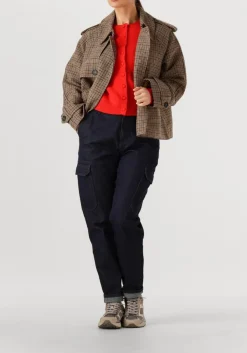 bruine suncoo jack erin