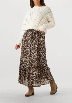 bruine suncoo midirok fado