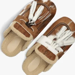 bruine toral instappers ariana