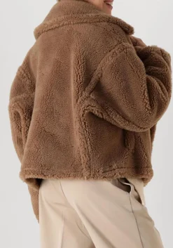 camel alter ego teddy jas judy