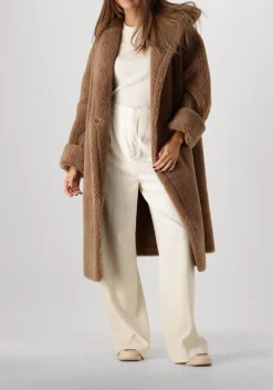 camel alter ego teddy jas london