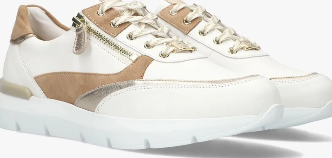 camel hassia lage sneakers bordeaux