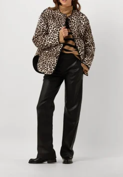 camel suncoo trui palacio