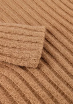 camel vanessa bruno coltrui faucon