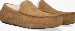 cognac ugg pantoffels ascot