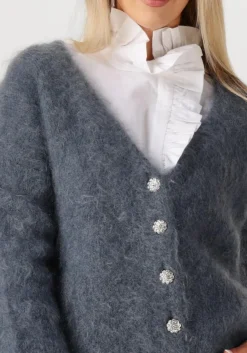 donkergrijze amaya amsterdam vest roos knitwear