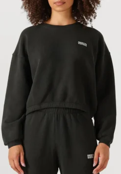 donkergrijze american vintage sweater izubird d