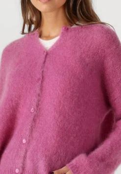 fuchsia des petits hauts vest bea