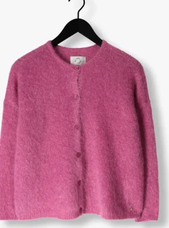 fuchsia des petits hauts vest bea