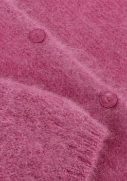 fuchsia des petits hauts vest bea