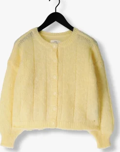 gele des petits hauts vest chouette